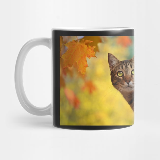 Fall Cat by LaurenGalanty